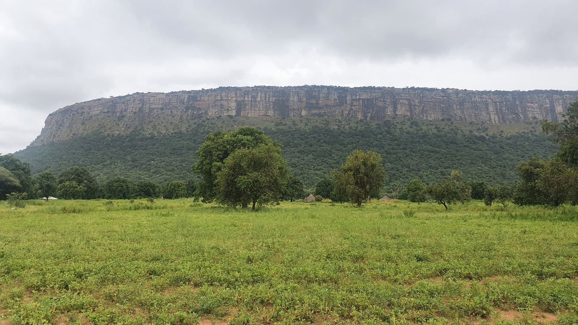 Le plateau du Parc National du Badiar près de Koundara